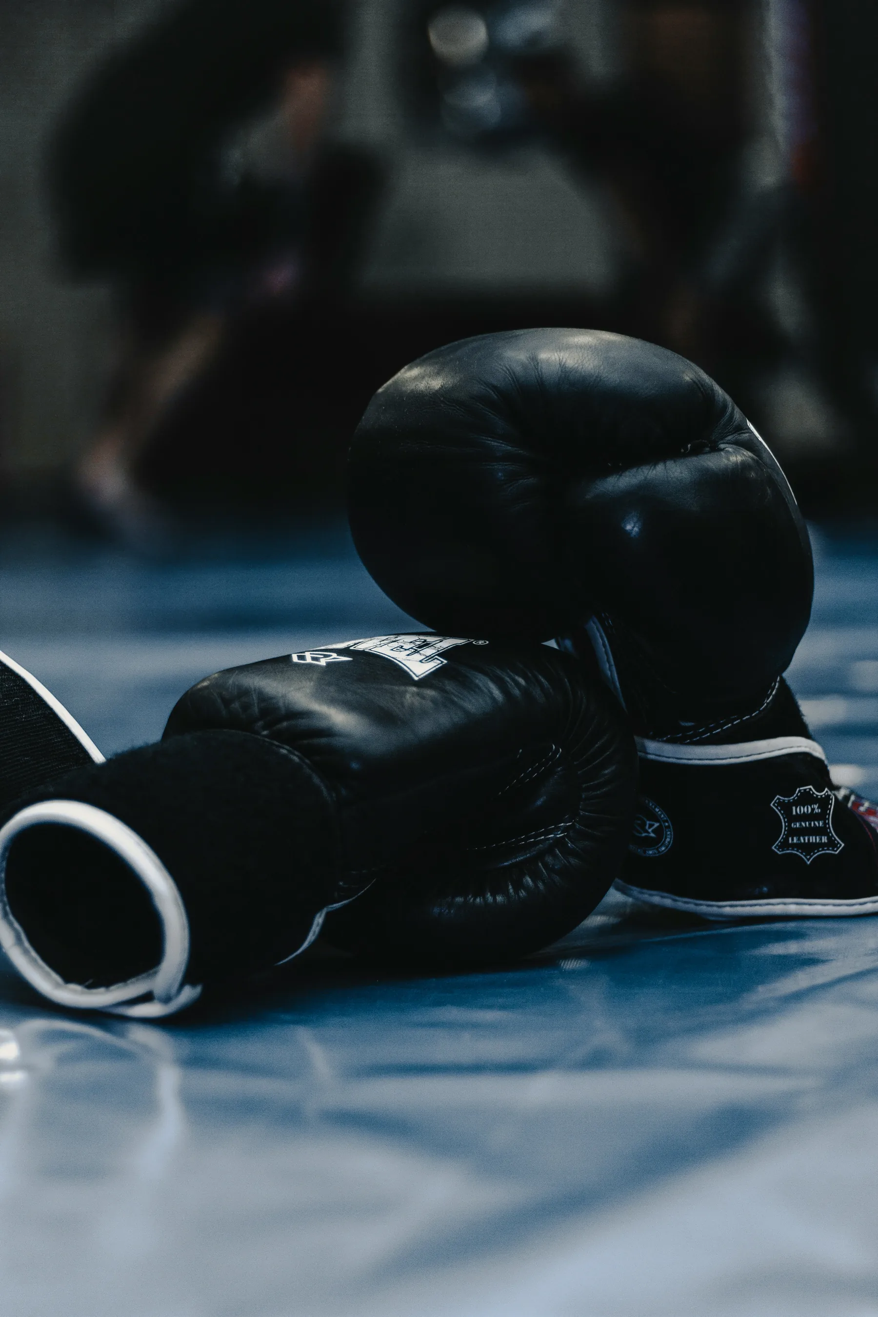 Guantes de boxeo