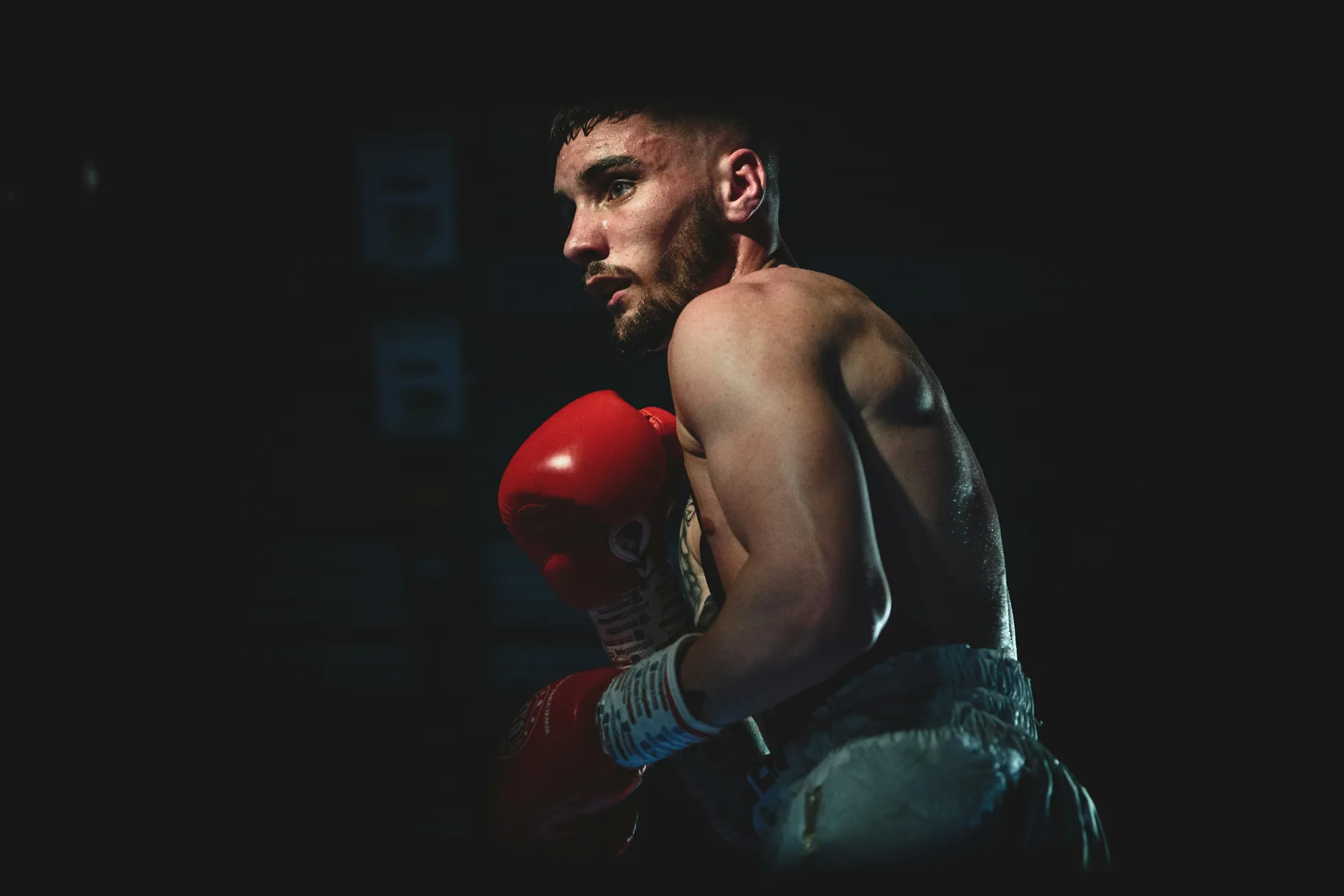 Boxeador preparado para el combate