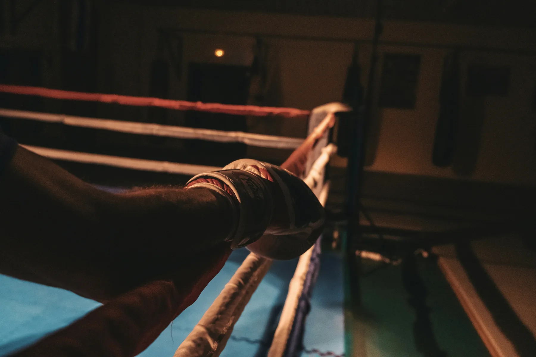 Ring de entrenamiento